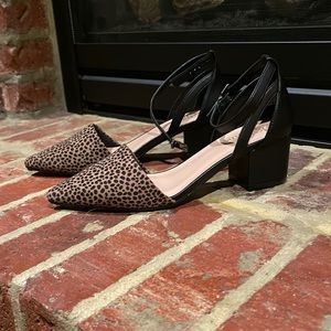 Low heel, never worn, dress shoes.